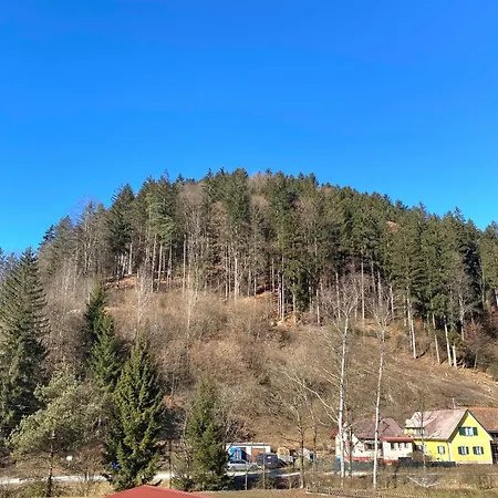 Almenland Feriehus Arzberg